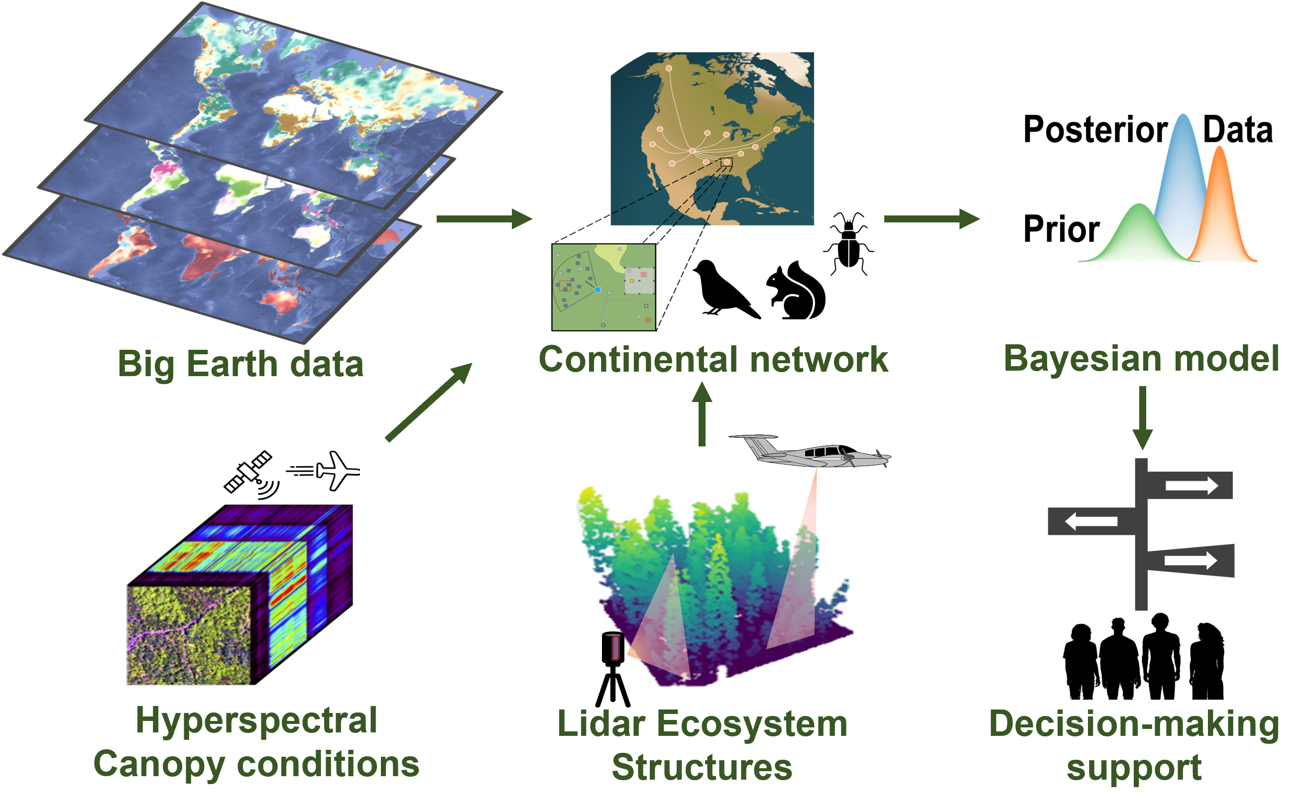 I use big earth data (e.g., climate reanalysis products) and combined lidar and hyperspectral imagery (e.g., 1-m spatial resolution habitat conditions) to study multiple species group (e.g., ground beetles, herbaceous, and trees) at [National Ecological Observation Network](https://www.neonscience.org/).